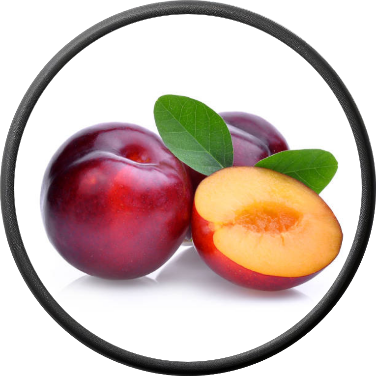Fresh Plum